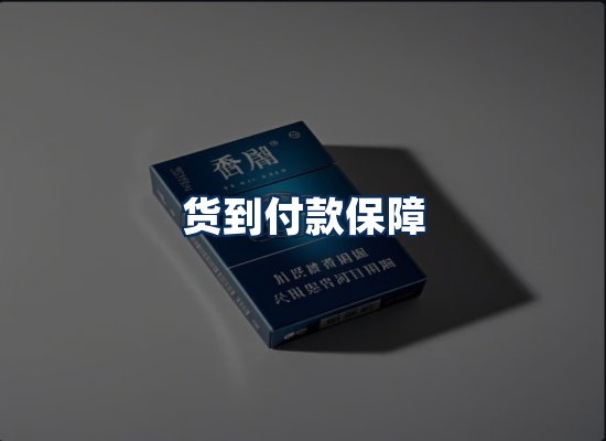 专业团队办公环境